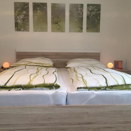 Haus Beate, Fewo Im Bienenparadies Kirchberg  Kültér fotó